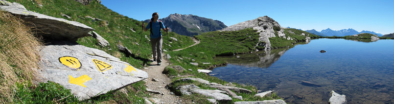 Alta Via 1-805x214